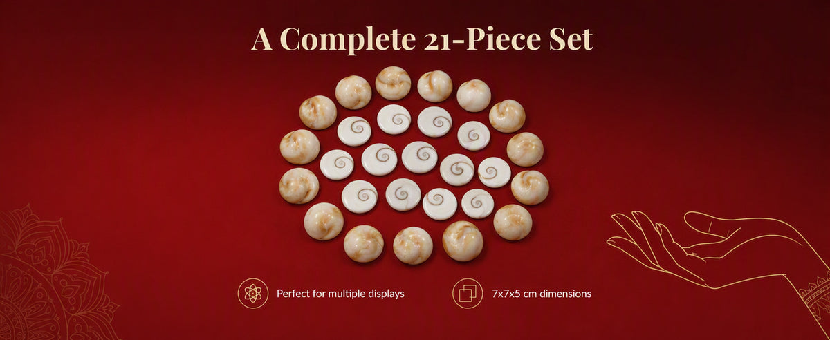 Gomti Chakra Set for Pooja, Festive Arrangements, and Decorative Display – 21 Pieces