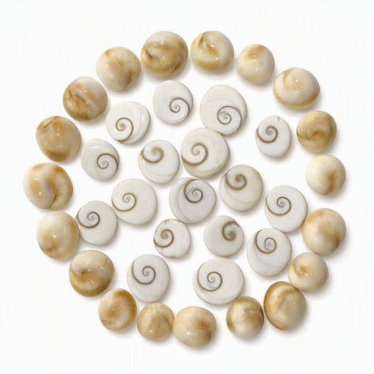 Gomti Chakra Set for Pooja, Festive Arrangements, and Decorative Display – 21 Pieces
