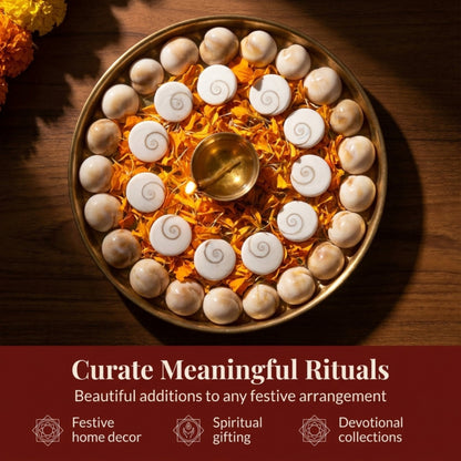 Gomti Chakra Set for Pooja, Festive Arrangements, and Decorative Display – 21 Pieces