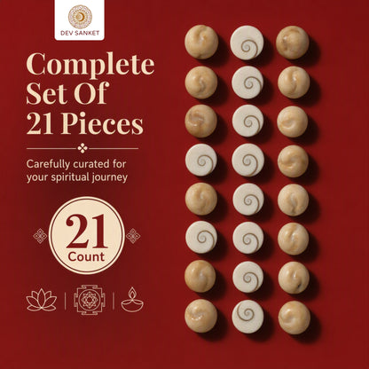Gomti Chakra Set for Pooja, Festive Arrangements, and Decorative Display – 21 Pieces